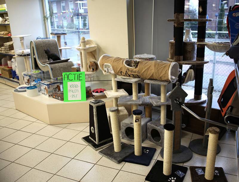 Krabpalen voor katten in Dierenspeciaalzaak Achterhoek Gunnewick Tuin en Dier