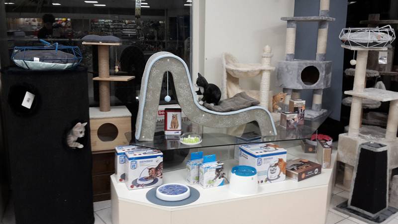 Krabpalen kattenhuisvesting in Dierenspeciaalzaak Achterhoek Gunnewick Tuin en Dier